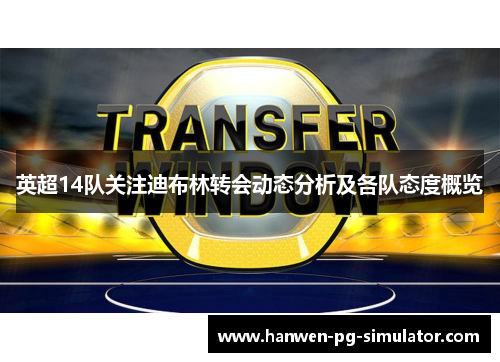 英超14队关注迪布林转会动态分析及各队态度概览