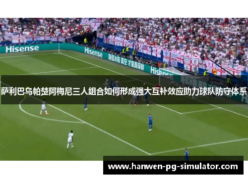 萨利巴乌帕楚阿梅尼三人组合如何形成强大互补效应助力球队防守体系